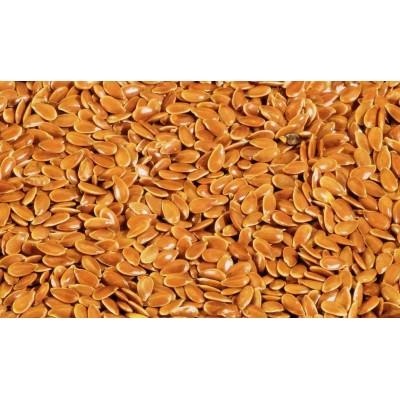 Alsi Seeds (Flax seeds) - LINUM USITATISSIMUM