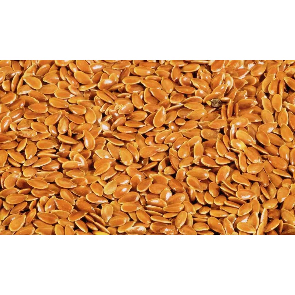 Alsi Seeds (Flax seeds) - LINUM USITATISSIMUM