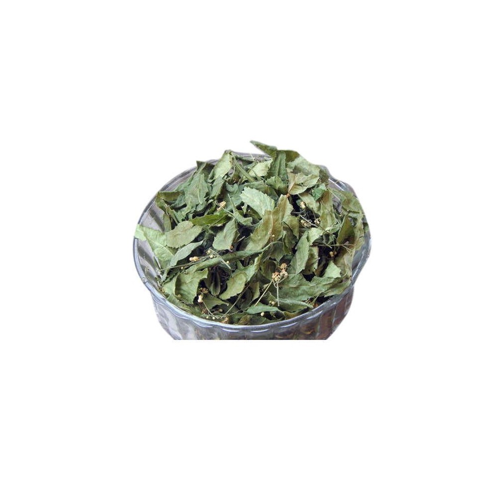 Neem Leaf Dried – Azadirachta indica