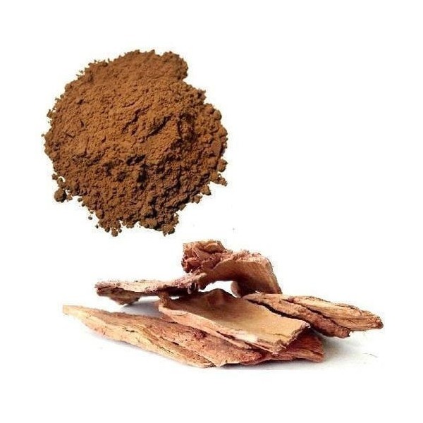 Arjuna Terminalia Arjuna Arjuna Herb Jalaram Herbs online