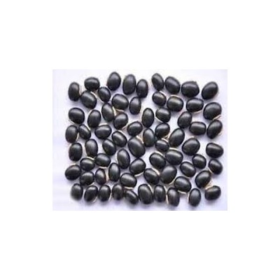 Kaunch Seeds – Kaunch Beej – Mucuna Pruriens (Black)