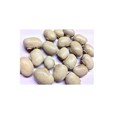 Kaunch Seeds – Kaunch Beej – Mucuna Pruriens (White)