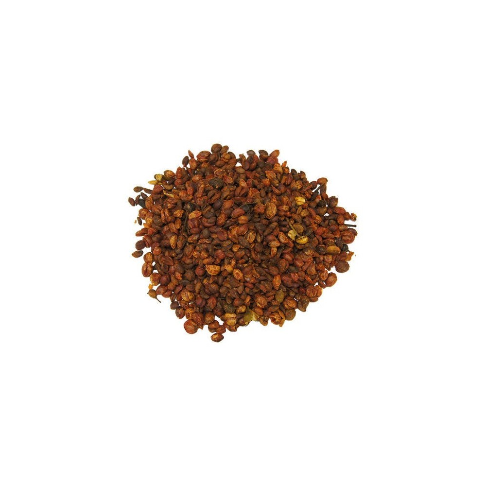 Lajwanti – Lajjalu – Mimosa Pudica