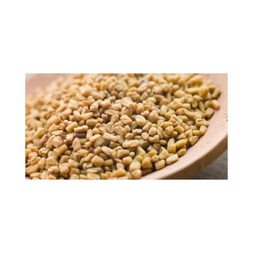 Methi Dana – Fenugreek Seeds – Trigonella Foenum Graecum