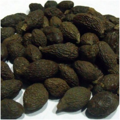 Niranjan Phal - Sterculia lychnophora - Malva nuts