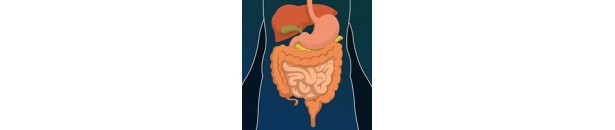 Ayurveda Products for Digestive Dsorders