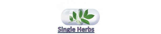 Single Herbs - Single herbal medicines for skin, heart, kidney, stress, hepatitis, brain, blood and all common diseases