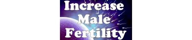 Buy Ayurveda products for Sperm count Increase and Increase Male Fertility